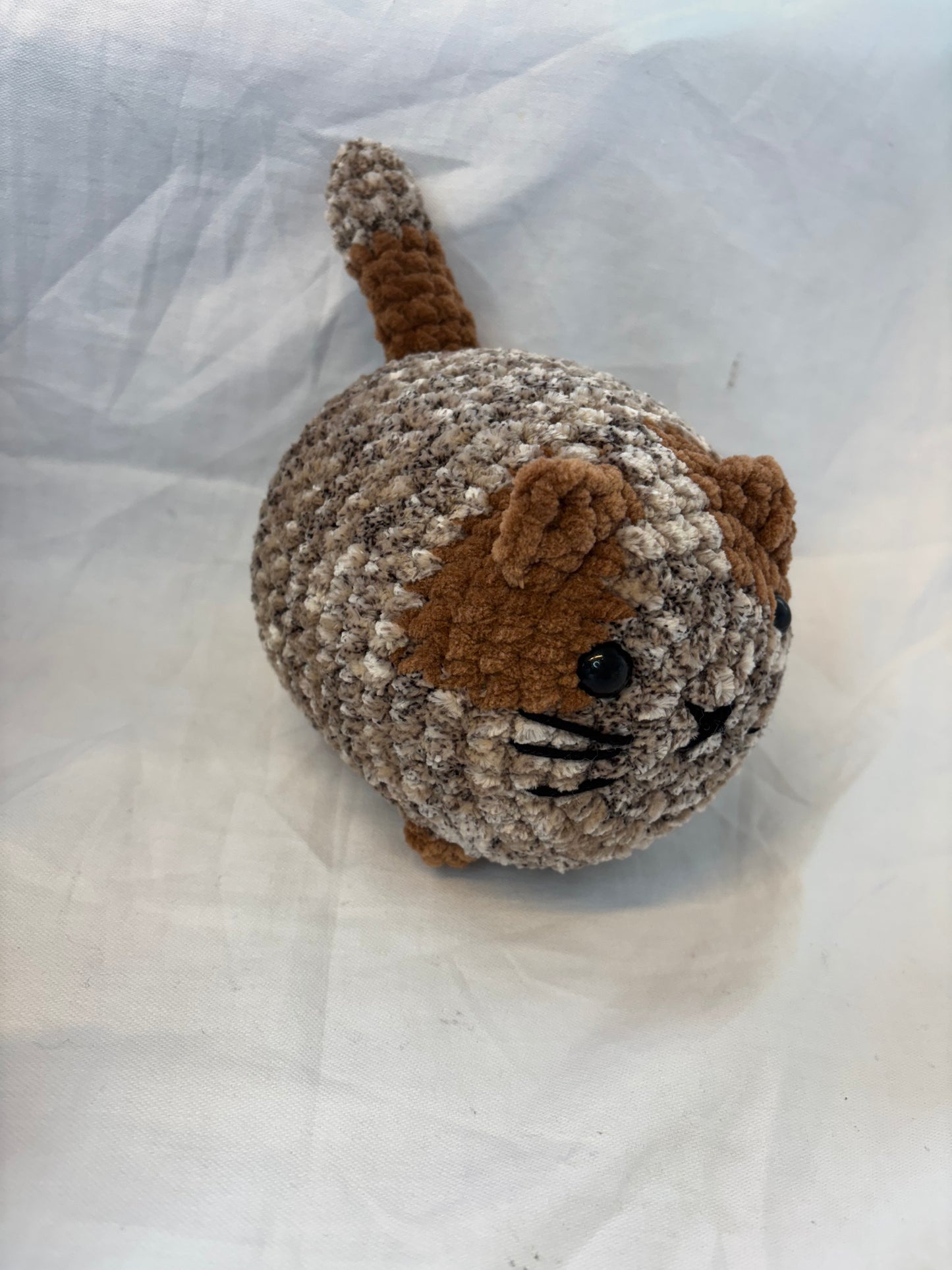 Katze - Lena