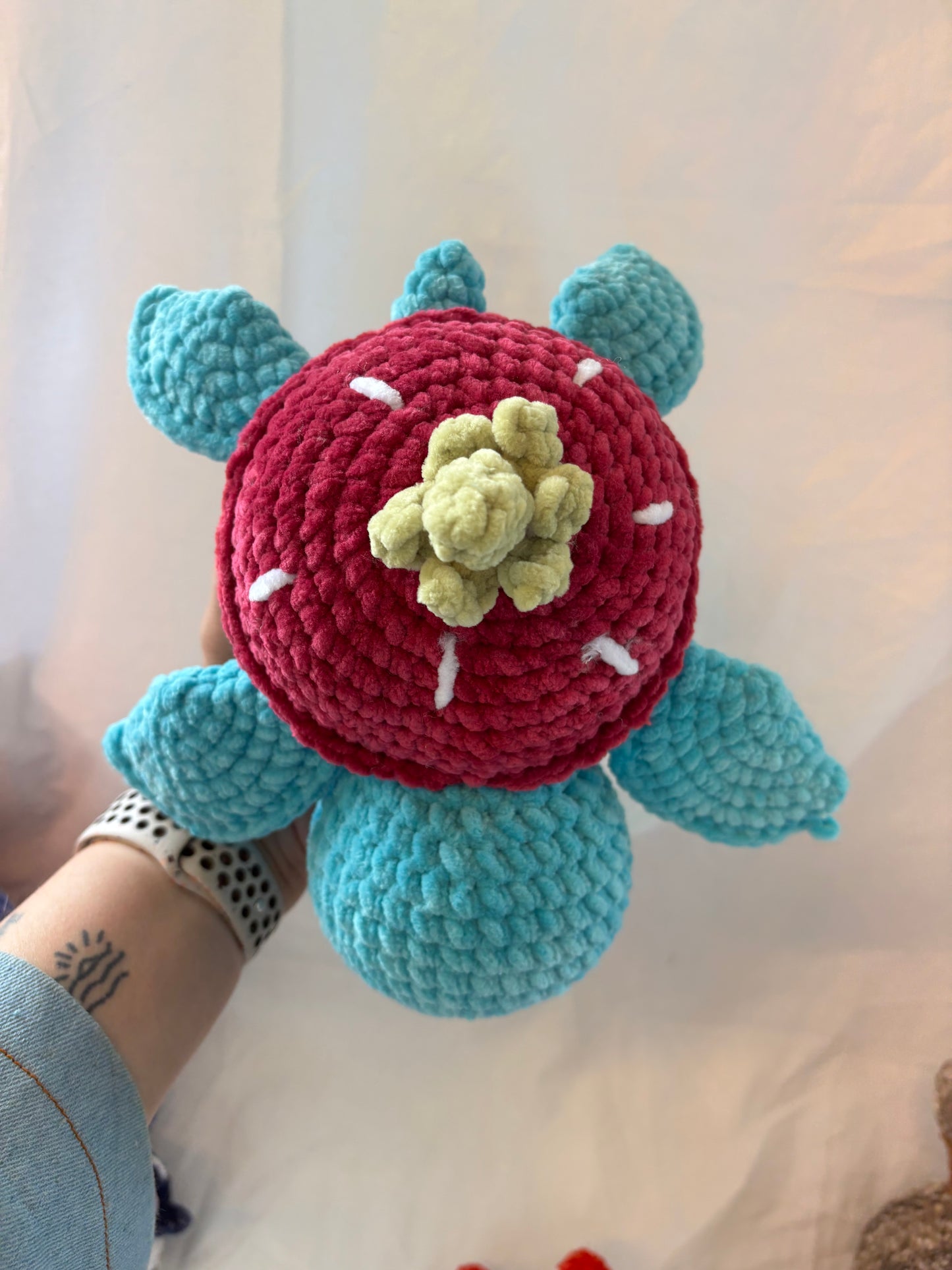 Strawberry Schildkröte Lily
