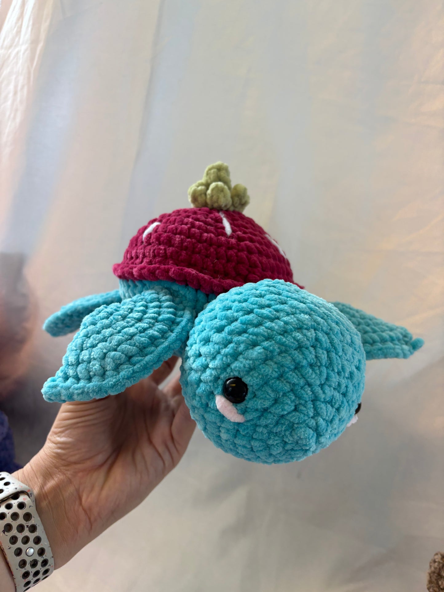 Strawberry Schildkröte Lily