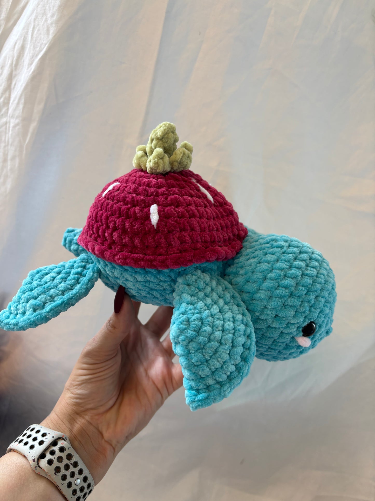 Strawberry Schildkröte Lily